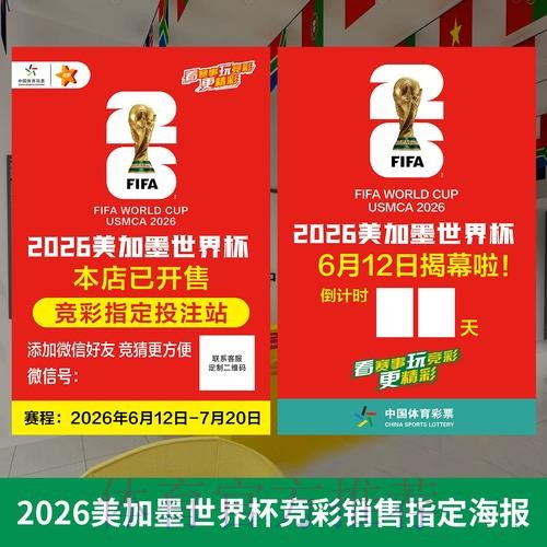 世界杯投注排行榜：权威解读与实用指南